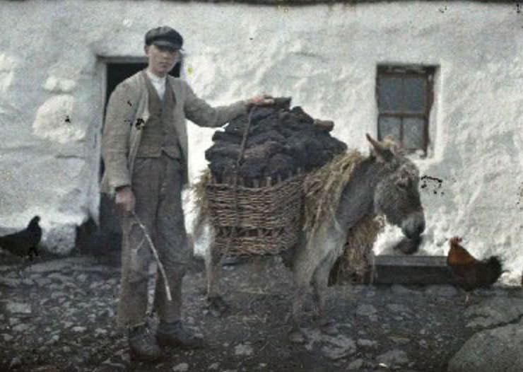 Transportation of turf in An Spidéal, Galway, 31 May 1913