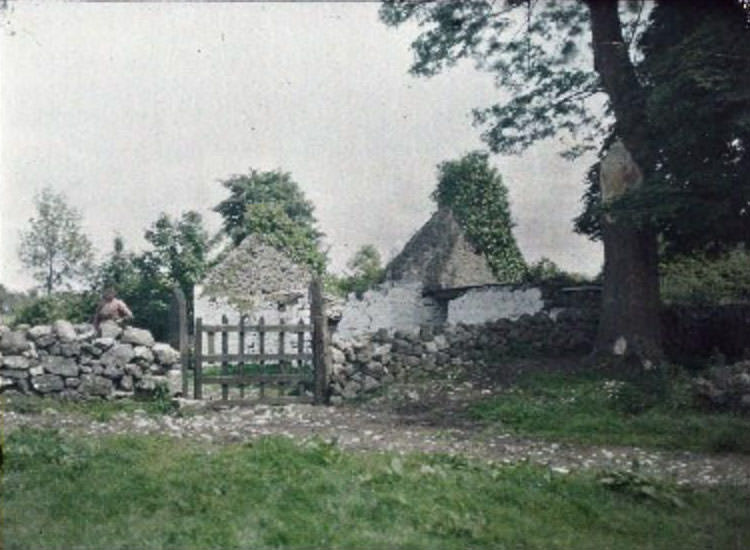 A woman near an abandoned dwelling, surrounded by the scenic beauty of Lough Ree, North Athlone, June 1913