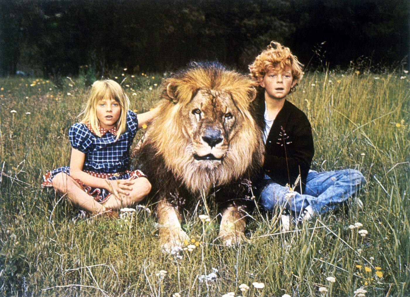 Lobby card for 'Napoleon And Samantha', featuring Jodie Foster and Johnny Whitaker, 1972.