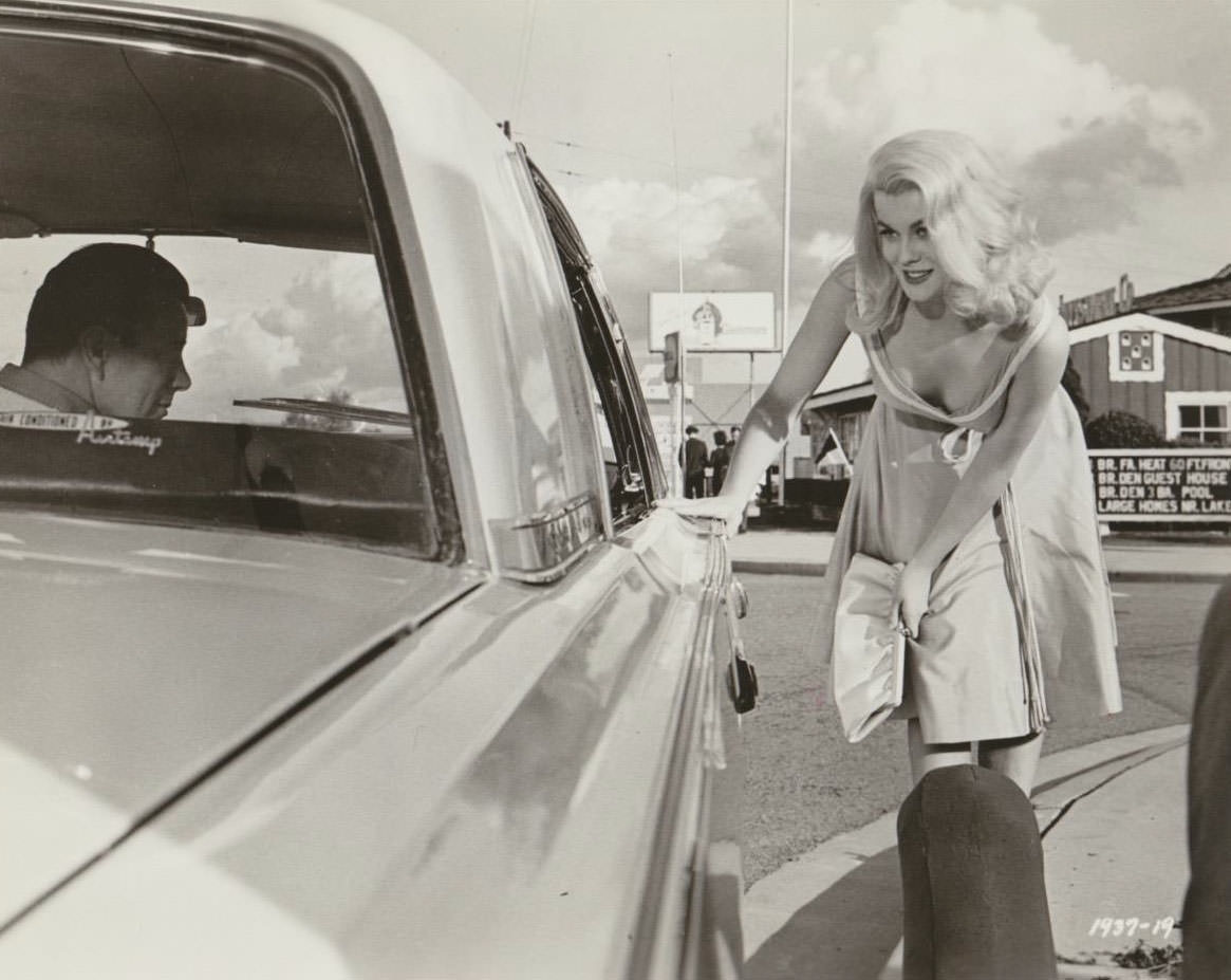 Ann-Margret and John Forsythe in Kitten with a Whip (1964)