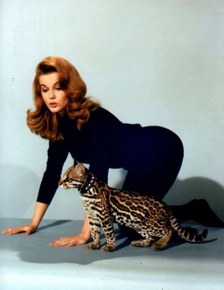 Ann-Margret in Kitten with a Whip (1964)