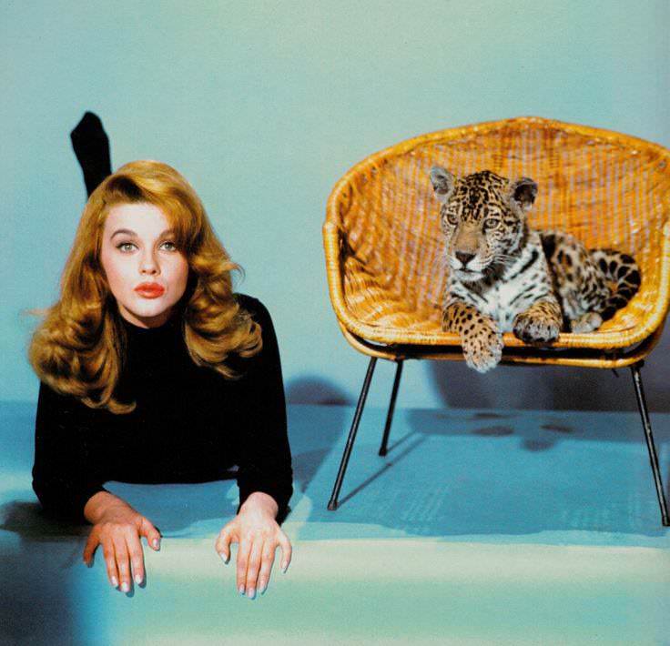 Ann-Margret in Kitten with a Whip (1964)