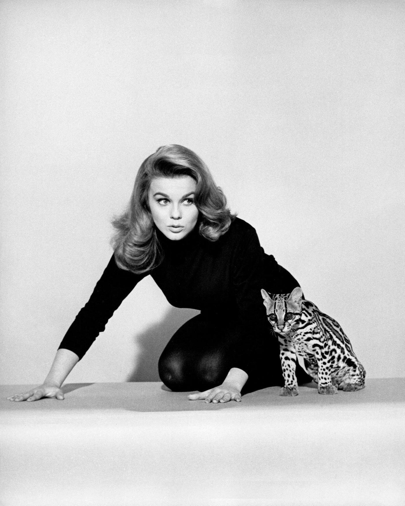 Ann-Margret poses with an ocelot in a promotional still for 'Kitten With A Whip, 1964