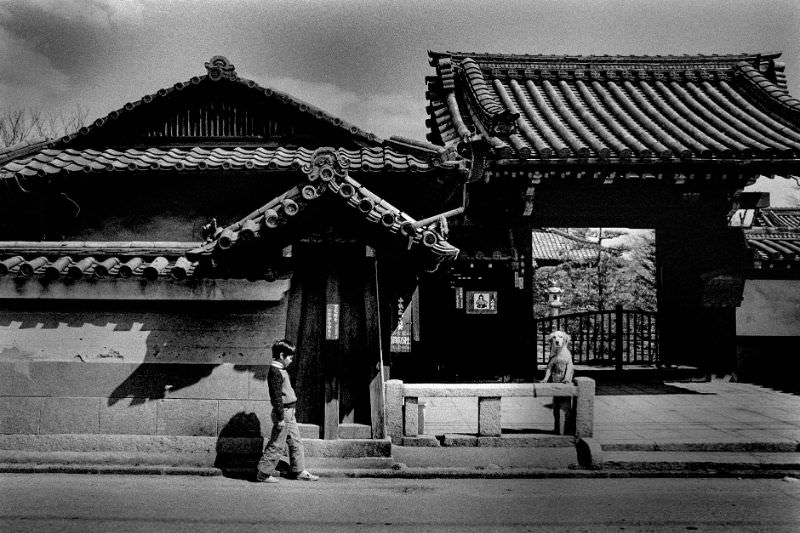 Kyoto in the 1970s: A Retro Trip Through Japan's Ancient Capital