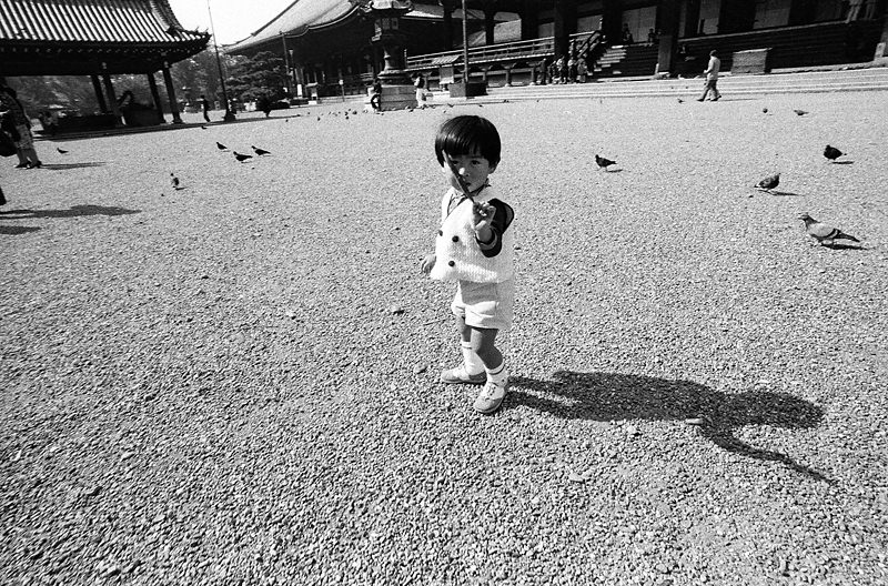 Kyoto in the 1970s: A Retro Trip Through Japan's Ancient Capital