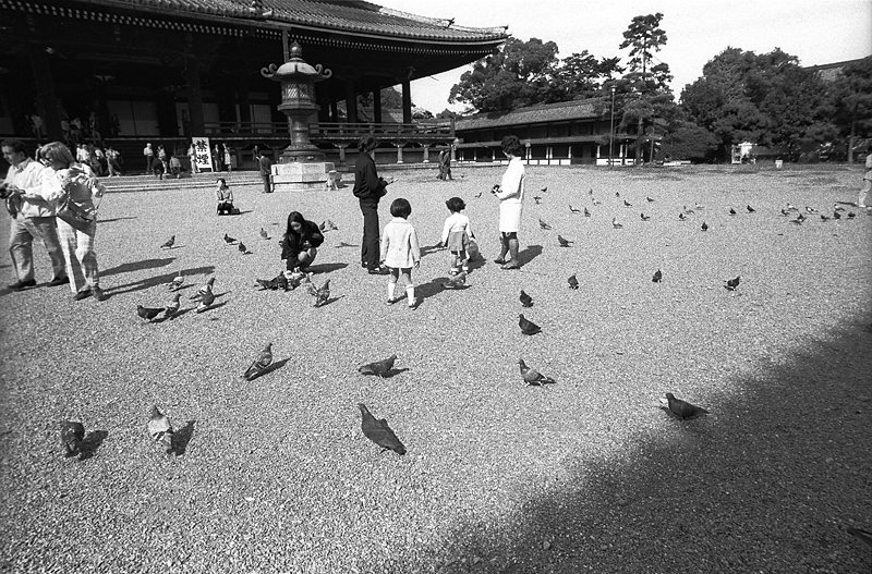 Kyoto in the 1970s: A Retro Trip Through Japan's Ancient Capital