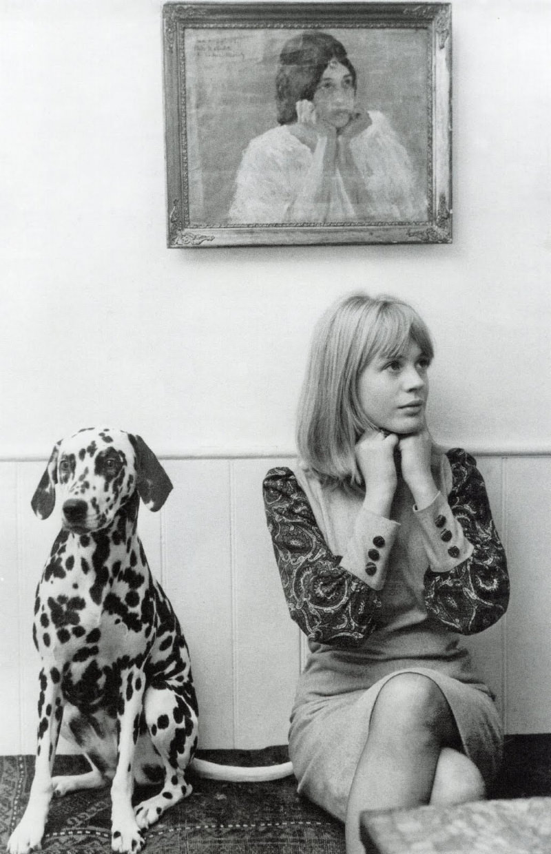 17-Year-Old Marianne Faithfull: Friends, Home, and a Pet Dalmatian in 1964