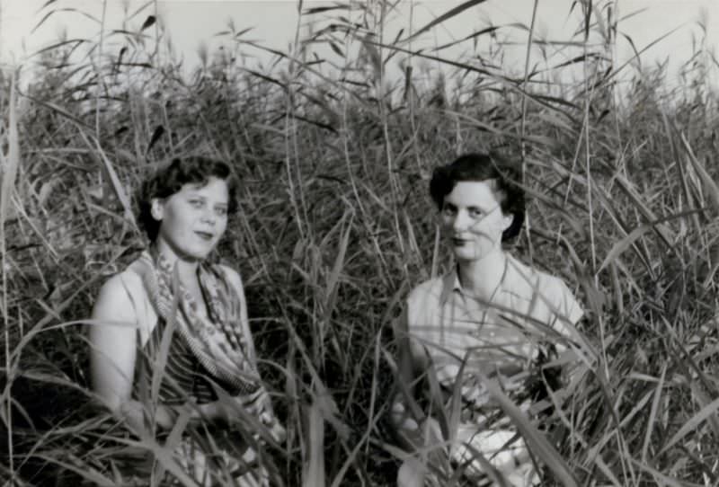 Two fashionable ladies posing in the reeds in summertime, circa 1958