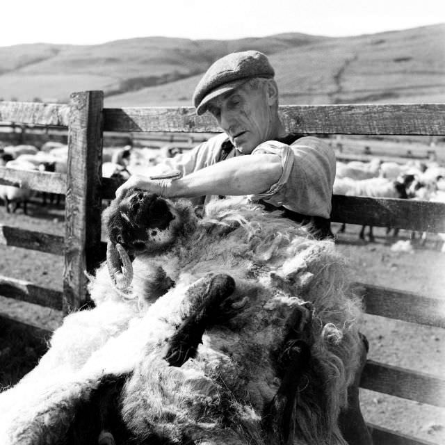 Scotland, 1947.