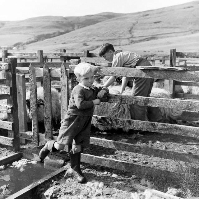 Scotland, 1947.