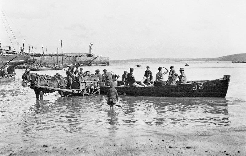 A view of a seine boat off-loading fish into a horse-drawn cart, St. Ives, Cornwall
