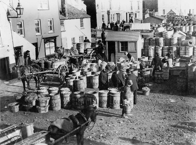 A view of the activity around the slipway, with the barrels awaiting their turn to be packed with fish and then transported away on waiting carts, St. Ives, Cornwall