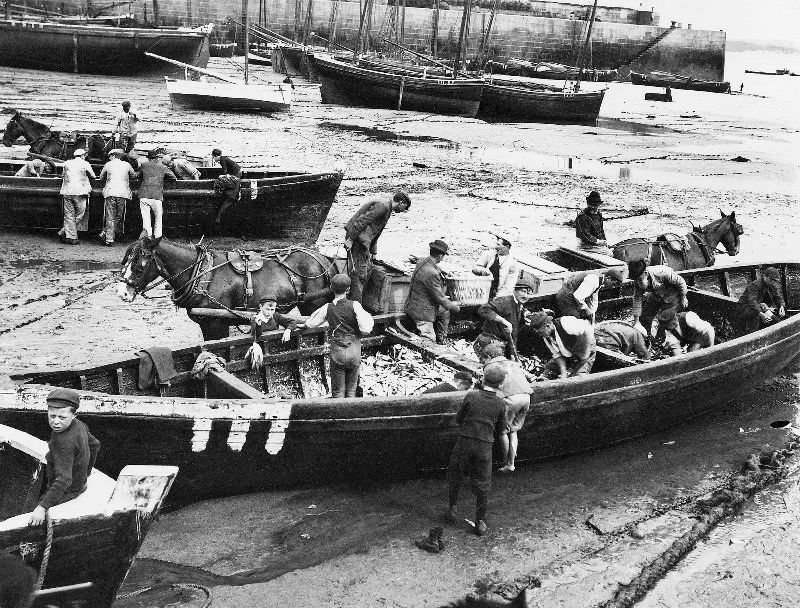 Unloading one of the seine boats in the harbour, St. Ives, Cornwall