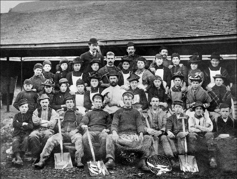 A group of pilchard processing workers outside a fish cellar or "fish palace" somewhere in the back streets of St. Ives, Cornwall