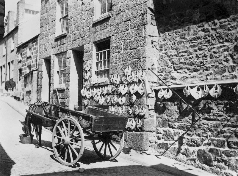 A view looks up Bunkers Hill from Fore Street. On the wall can be seen rays that have been pegged out to dry in the sun. When salted this was known locally as "toe-rag", St. Ives, Cornwall