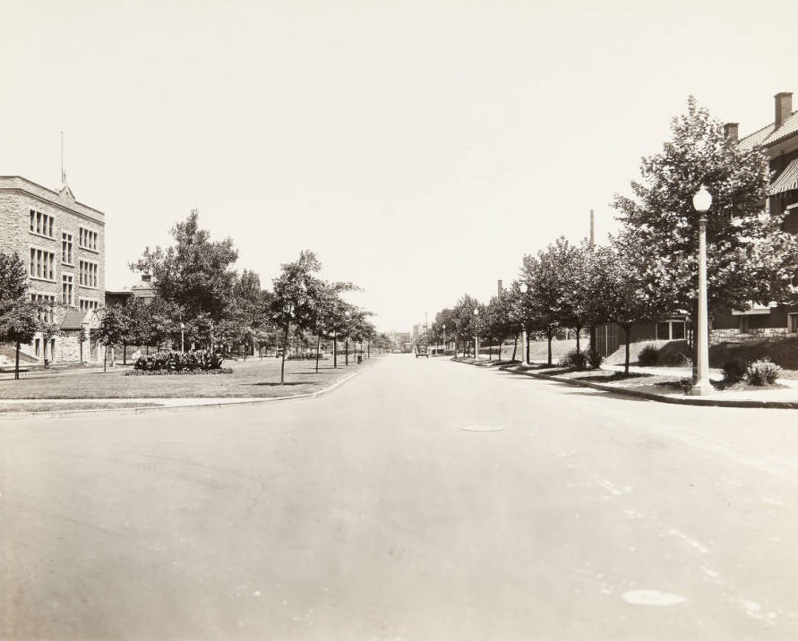 A tree-lined street in 1920.