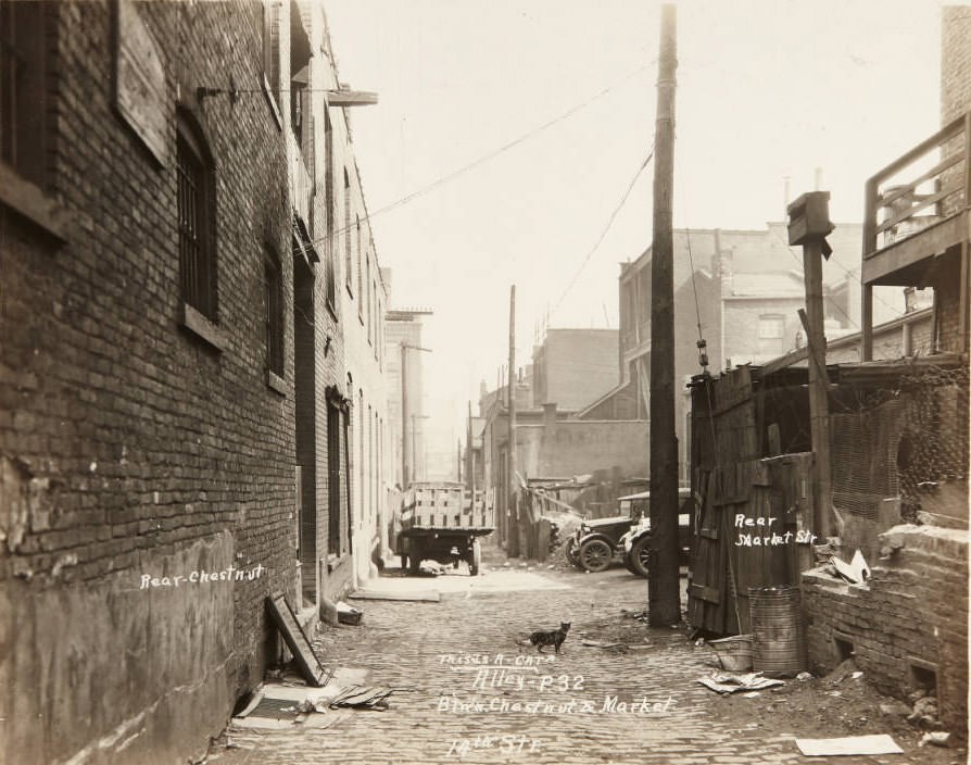 An alley on 14th Street between Chestnut and Market.