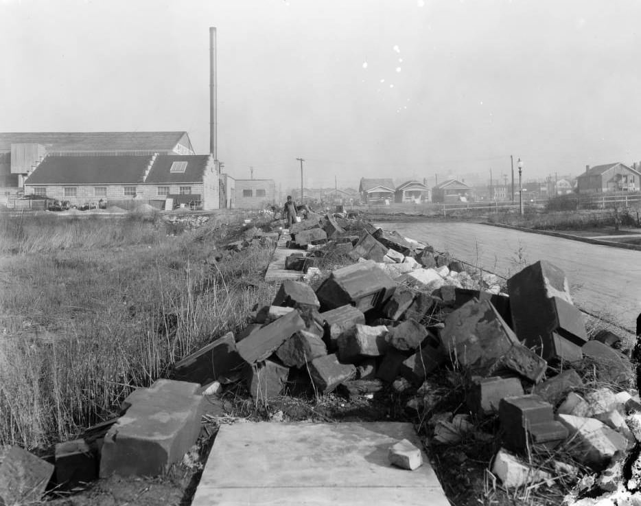 Man standing with pile of rubble on South Spring Avenue in St. Louis in 1925