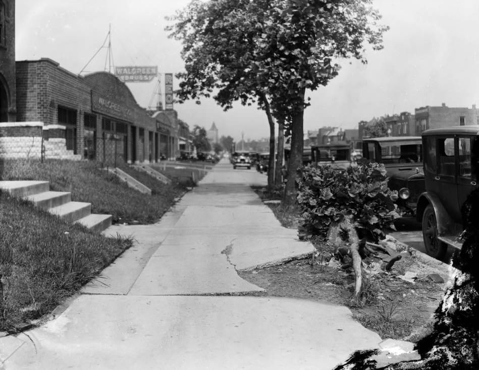 East view of the 3900 block of Page, with cracked sidewalk, tree stump, and Walgreen Drug Company office and warehouse visible, 1925