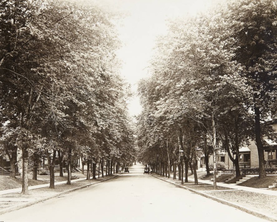 Tree-lined Cates Avenue, east of Hamilton Avenue, 1920
