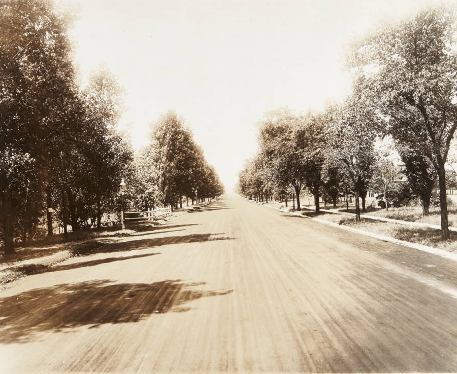 Newly paved and tree-lined Belt Avenue, near its intersection with Page, 1920