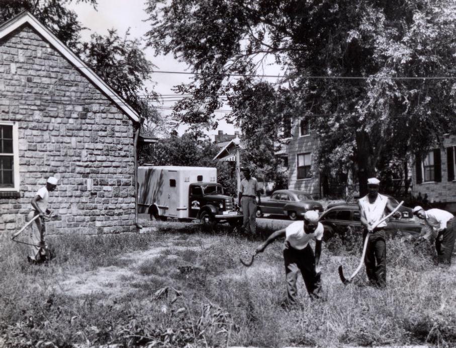 A Veterinarian Went On Duty at the Dog Pound, 1953