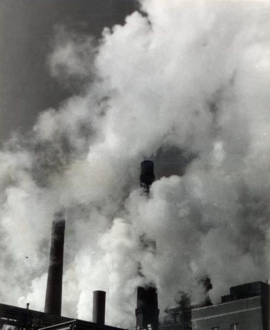 Anheuser-Busch Brewery - Cold Brewery ,1959