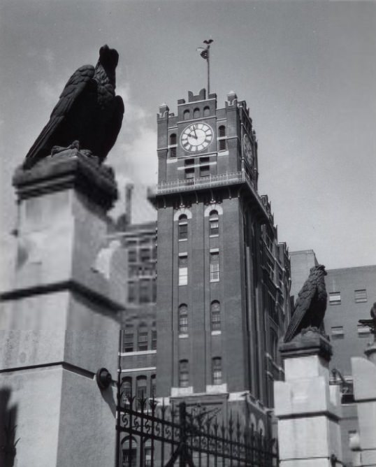 Anheuser-Busch Brewery - Grounds, 1956