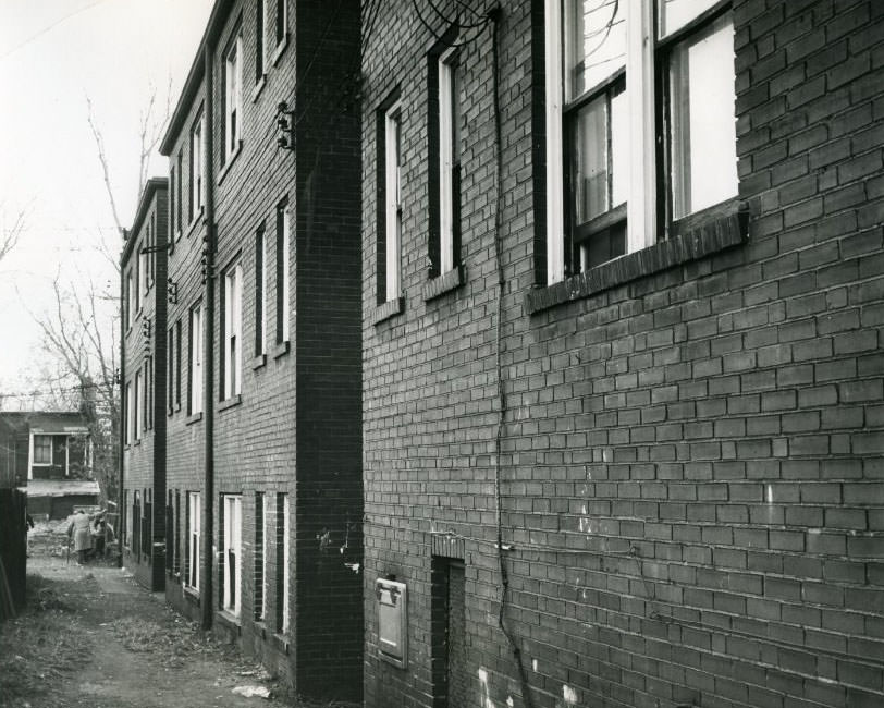 Tenement building owned by firm which Alderman Alfred I. Harris heads is at 4382-88 St. Louis, 1960