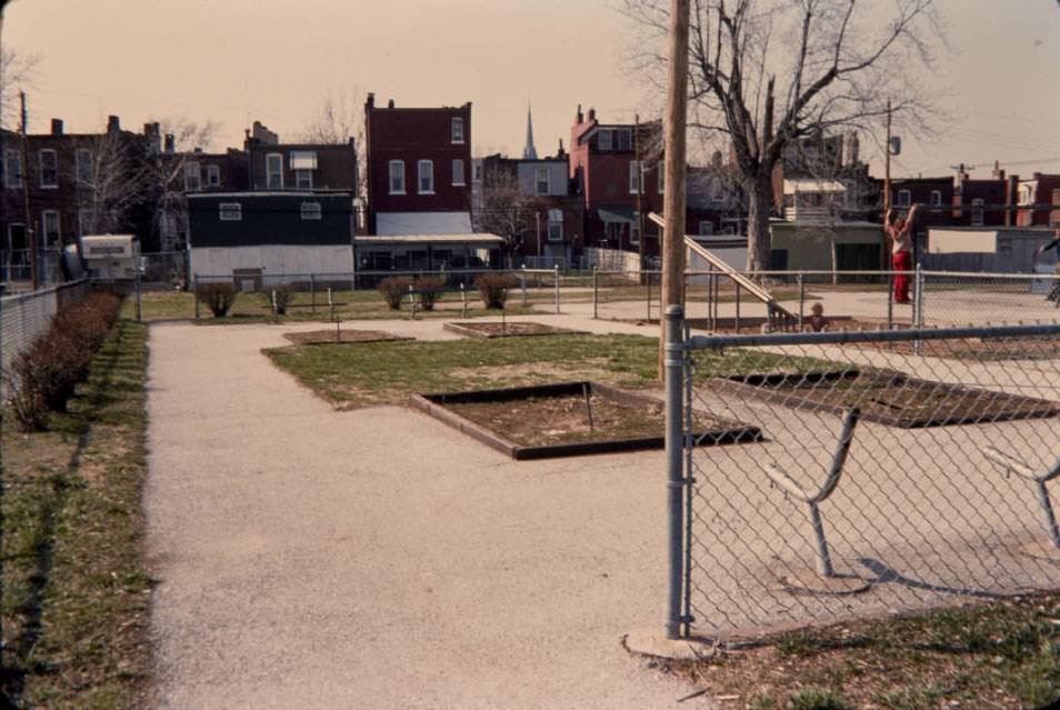 Landscape-oriented view of Fremont Park looking towards the back alley of the 2800 block of McNair and intersection with Lynch, 1977