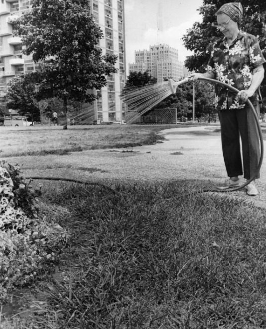 Plaza Apartments - Gardening, 1976