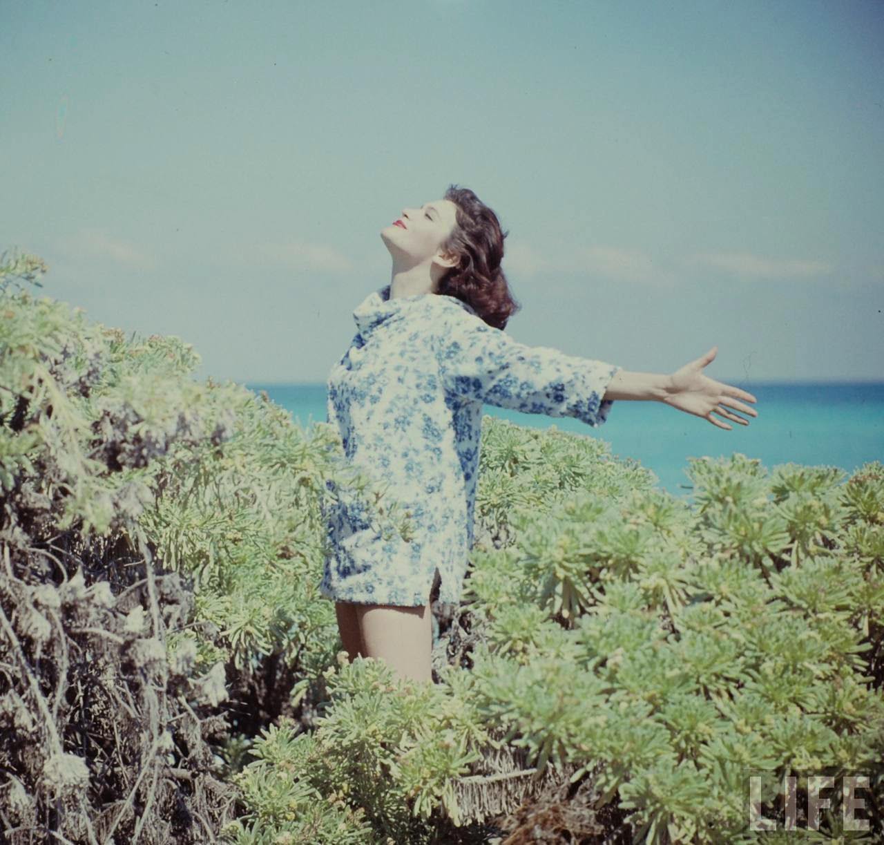 Bathing Beauties of 1950s Cuba: A Stunning Collection of Swimsuit Models by Gordon Parks