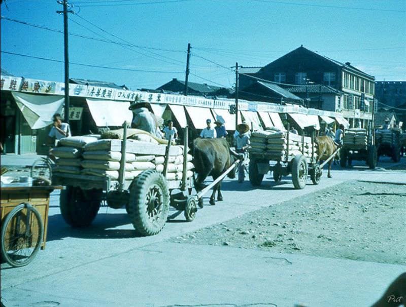 Common transport in Taiwan, 1954