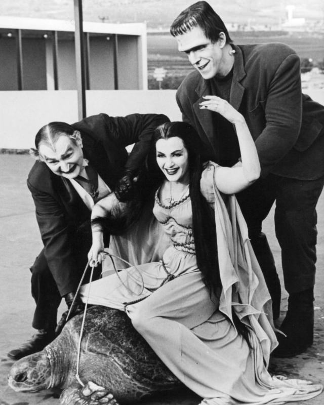 Behind the Scenes of 'The Munsters’: Photos that Unveil the Enchanting World of the Iconic TV Show