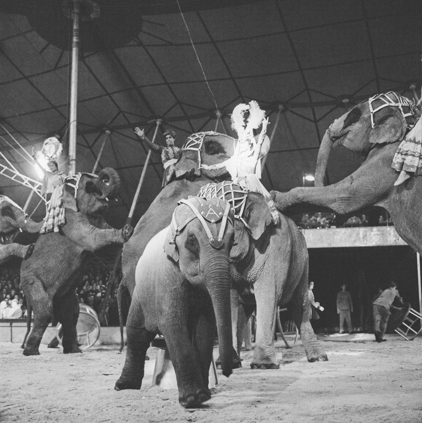 A show in Circus Rebernigg in Vienna, photographed in April 1956.