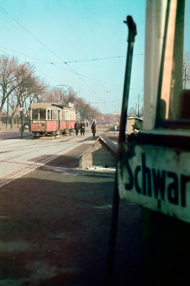 Vienna Central Cemetery, 1955