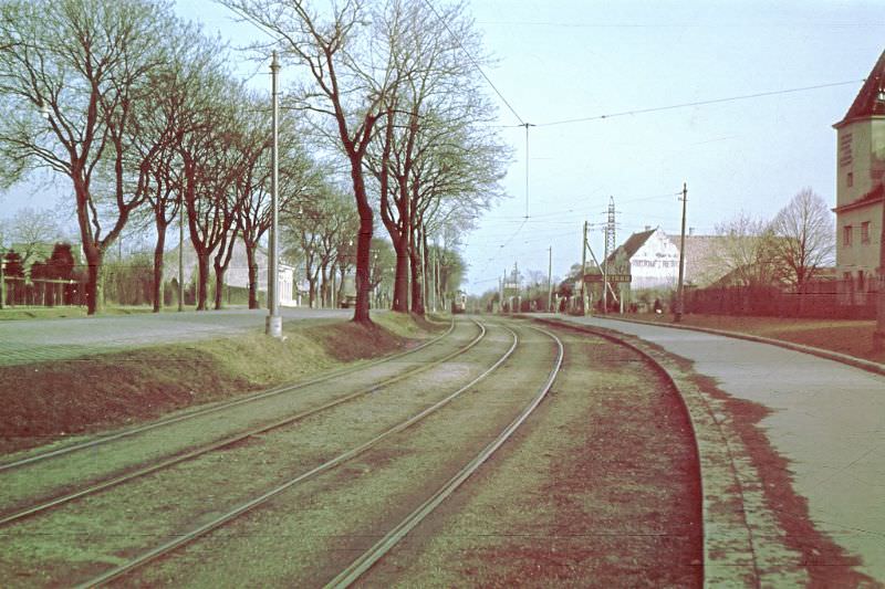 Tram line 71, taken from Weissenböckstrasse, 1960