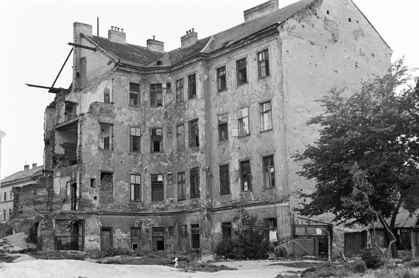 The building of Pfeffergasse in the Jewish quarter of Vienna, where Sigmund Freud lived with his parents in 1956.