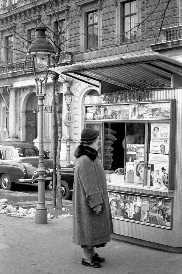What Vienna looked like in the 1950s
