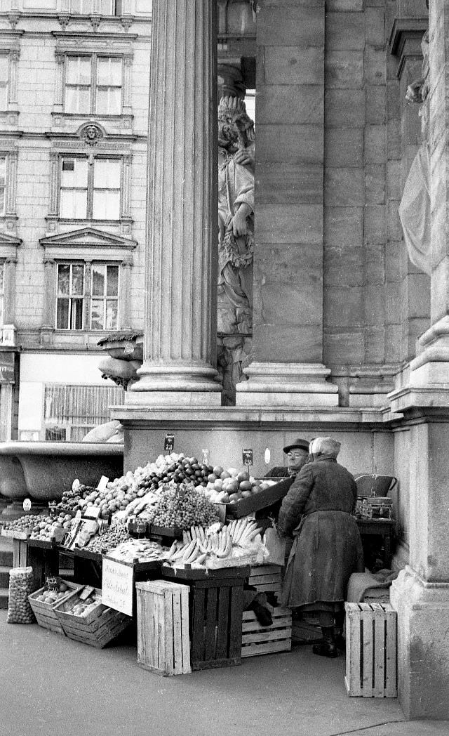 What Vienna looked like in the 1950s