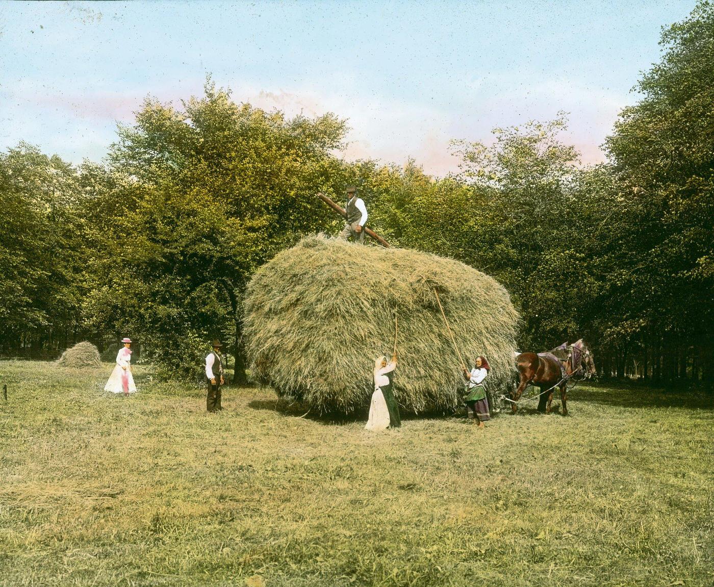 Hay harvest in the Viennese Prater, 1905.