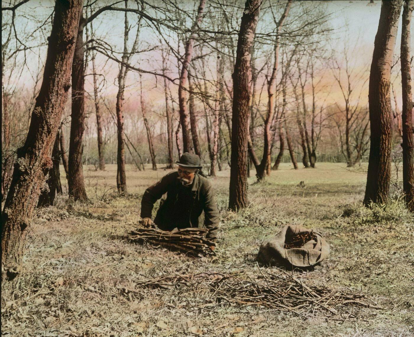 Man gathering firewood in the Viennese Prater, 1905.