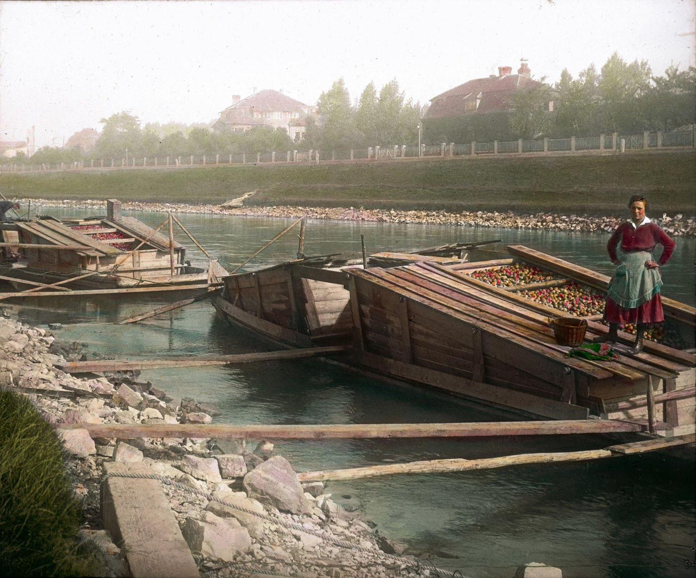 Wooden boat loaded with apples from Upper Austria on the Danube Canal, Vienna, 1905.