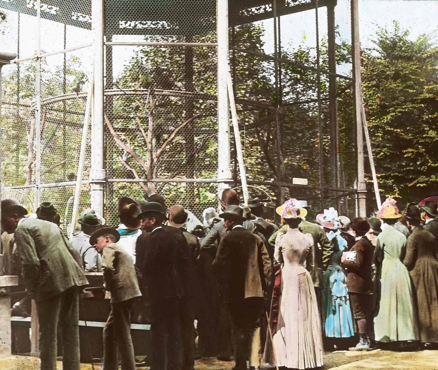 The monkey house at the Schoenbrunn Zoo in Vienna's 13th district, 1900.