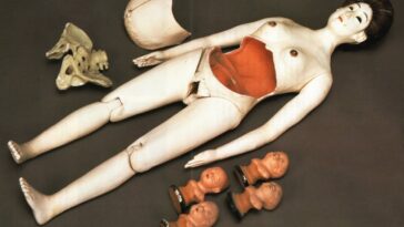 19th Century Japanese Pregnancy Dolls