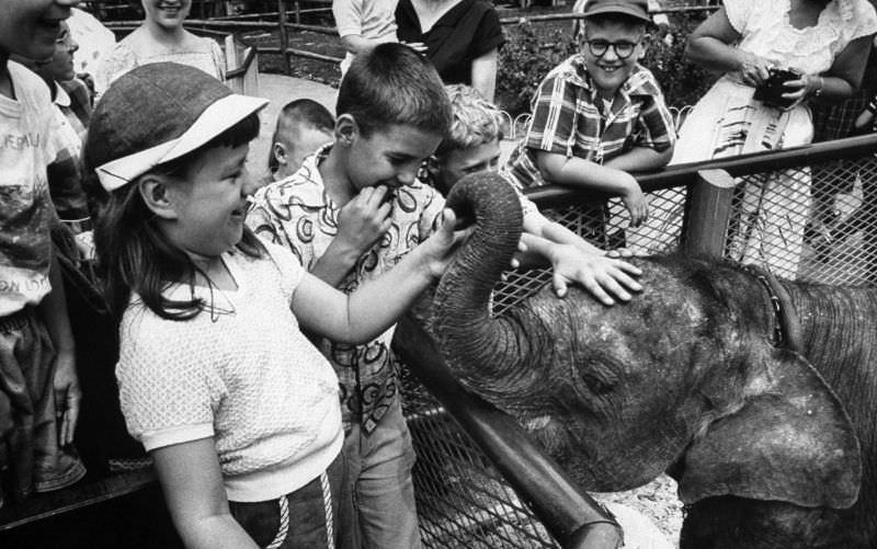 When Love Knows No Bounds: Children's Endearing Affection for Baby