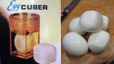 Egg Cuber