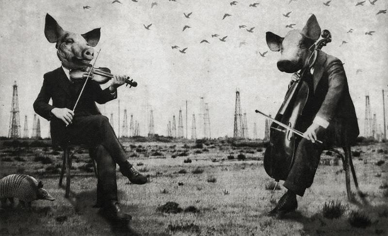 Jaco Putker's Art