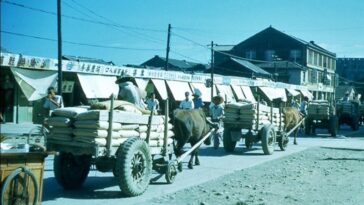 Taiwan 1950s