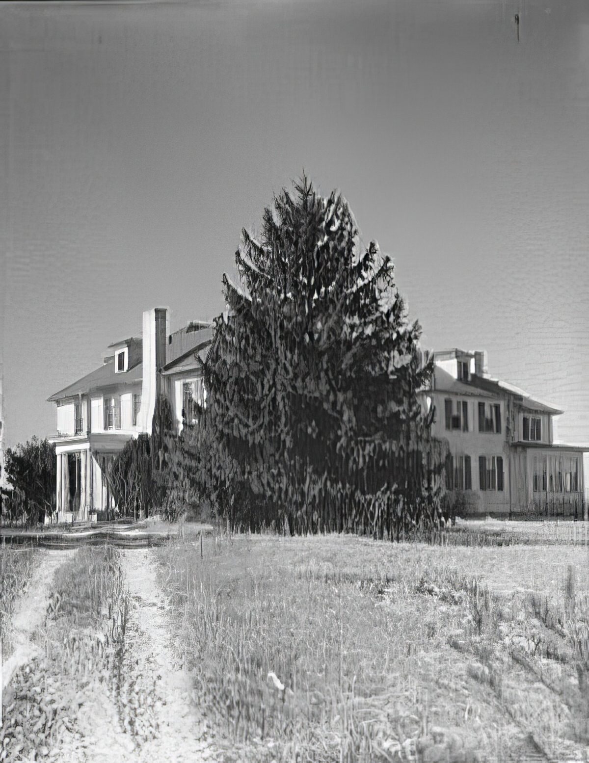 Mount Eagle house in Alexandria, 1920